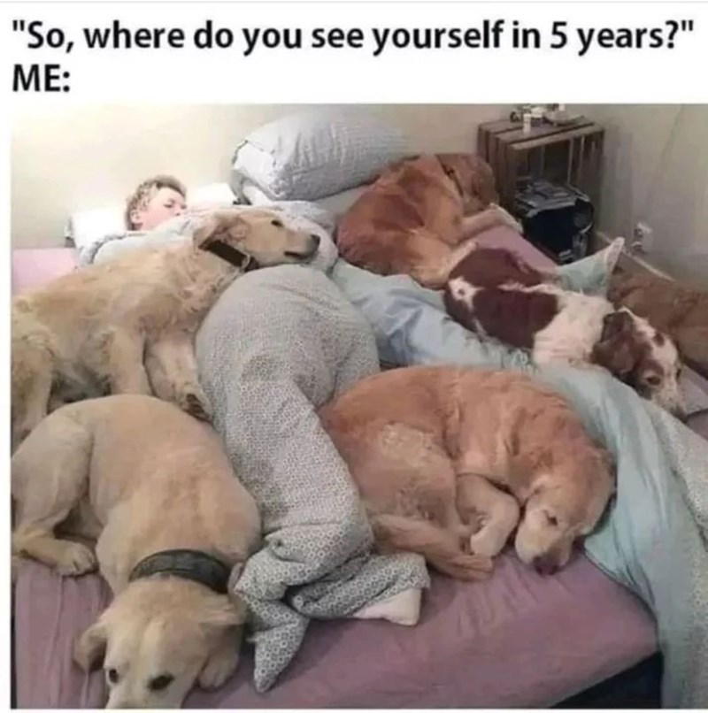 "So, where do you see yourself in 5 years?" ME: