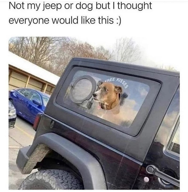Not my jeep or dog but I thought everyone would like this :) CREE KISSES