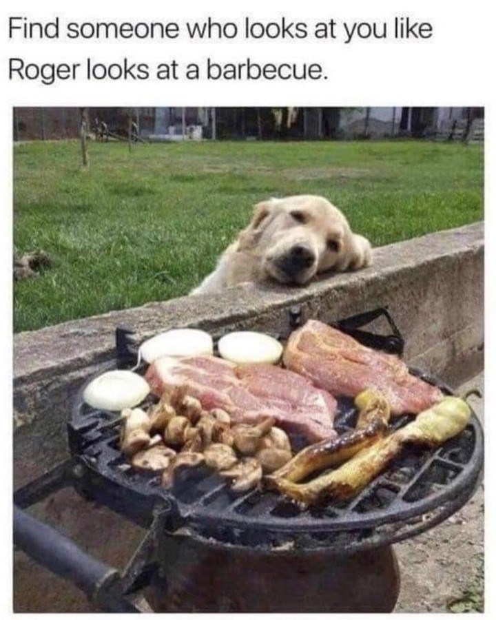 Find someone who looks at you like Roger looks at a barbecue.