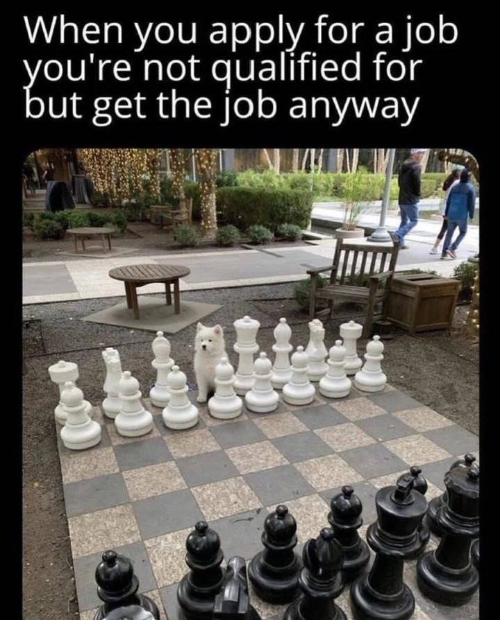 When you apply for a job you're not qualified for but get the job anyway