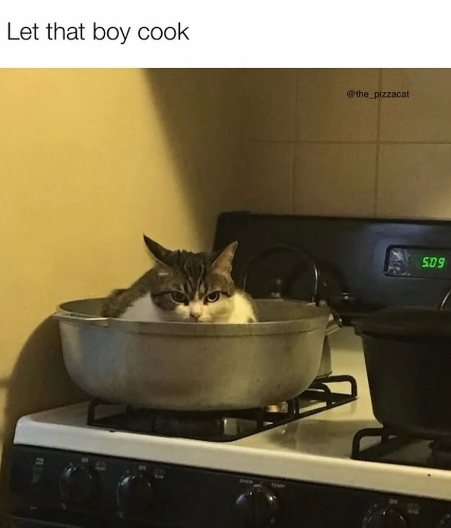 Let that boy cook TEMP @the_pizzacat 509