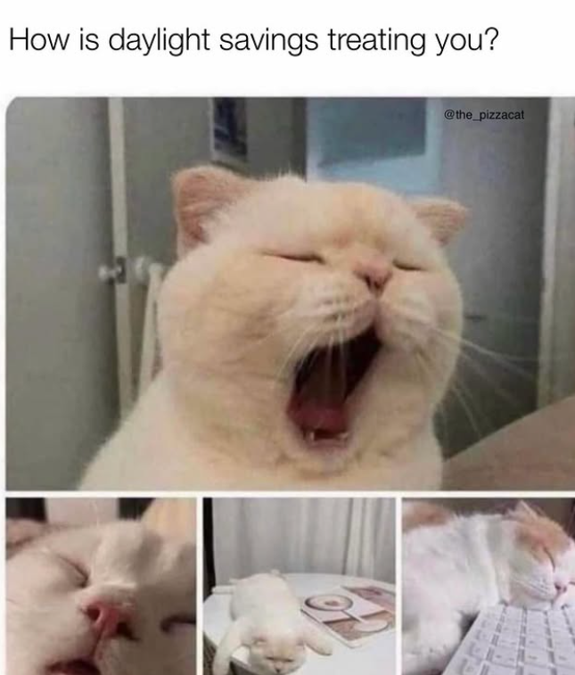 How is daylight savings treating you? @the_pizzacat