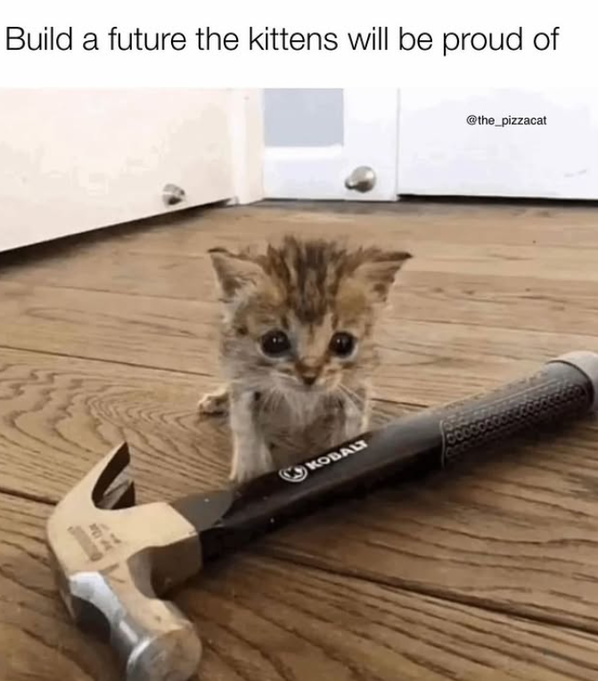 Build a future the kittens will be proud of KOBALT @the_pizzacat