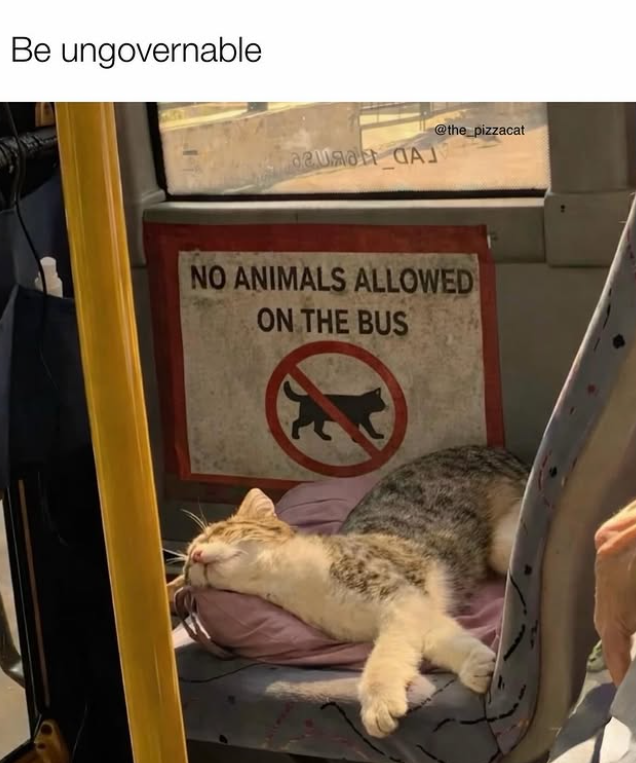 Be ungovernable azura CAJ @the_pizzacat NO ANIMALS ALLOWED ON THE BUS