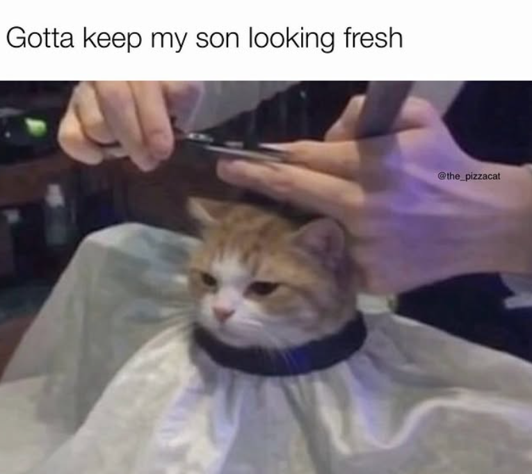 Gotta keep my son looking fresh @the_pizzacat