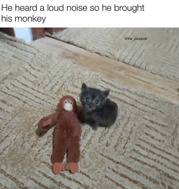He heard a loud noise so he brought his monkey @the_pizzacat
