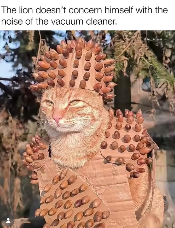 The lion doesn't concern himself with the noise of the vacuum cleaner. the pizzacat