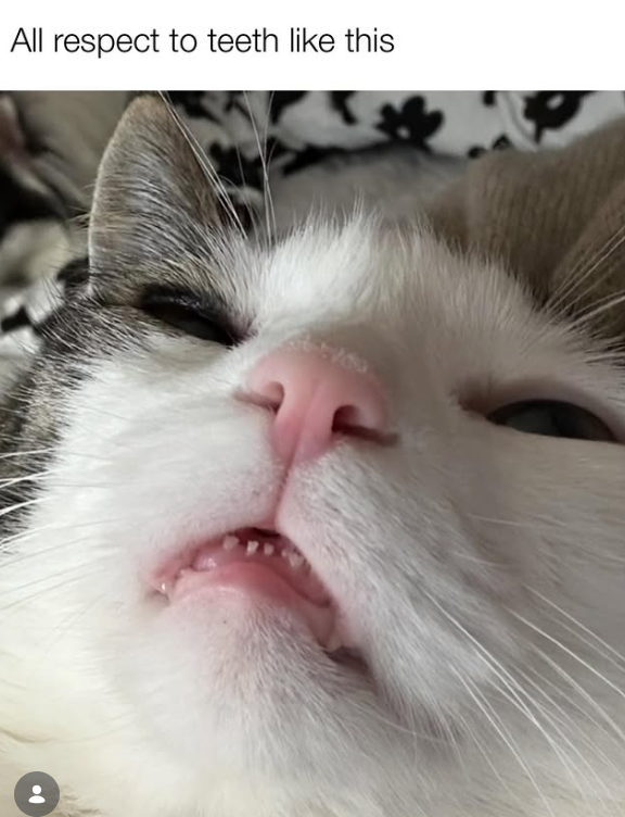 All respect to teeth like this