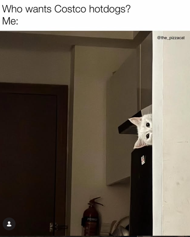 Who wants Costco hotdogs? Me: POW @the_pizzacat