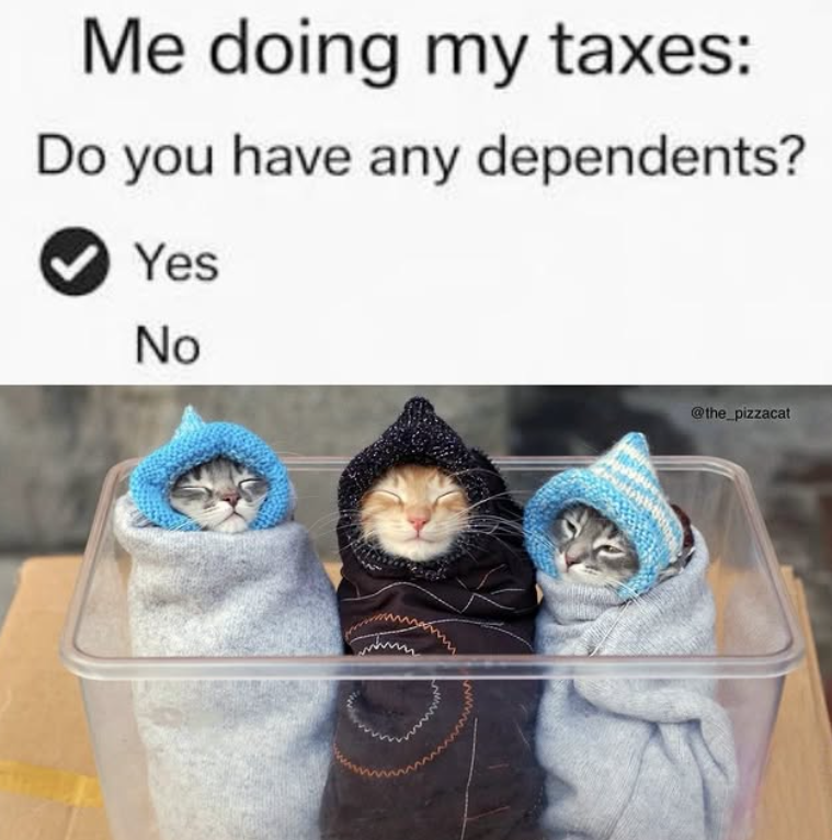 Me doing my taxes: Do you have any dependents? Yes No @the_pizzacat