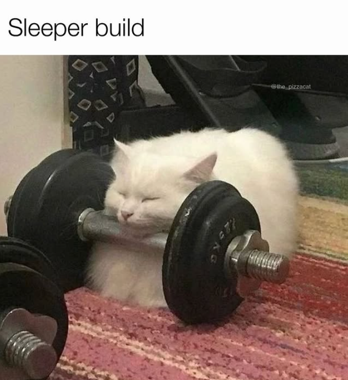 Sleeper build @the pizzacat