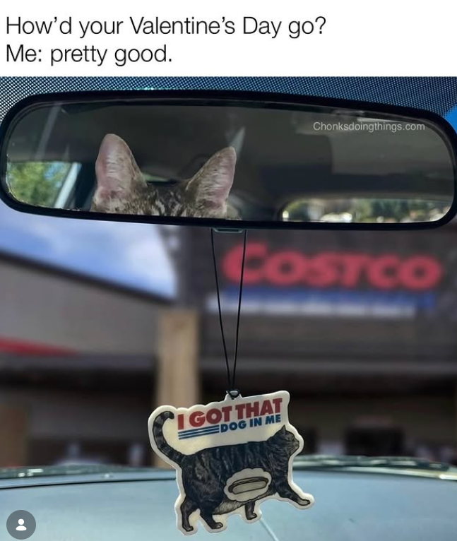 How'd your Valentine's Day go? Me: pretty good. Chonksdoingthings.com COSTCO I GOT THAT DOG IN ME