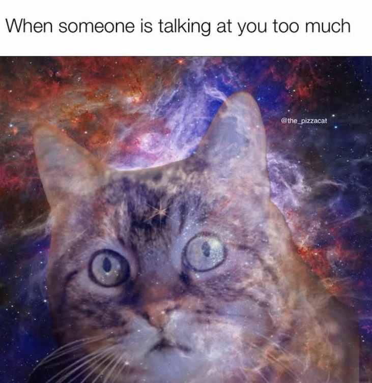 When someone is talking at you too much @the_pizzacat