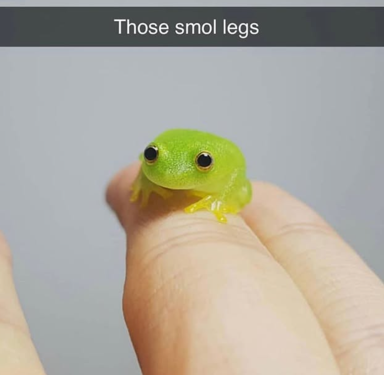 Those smol legs