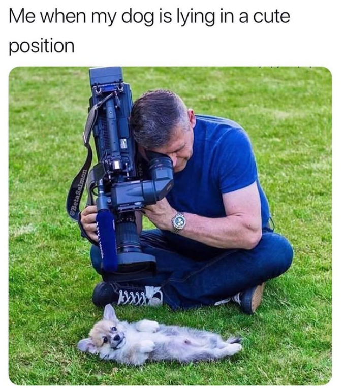 Me when my dog is lying in a cute position @BetaSalmon 2016