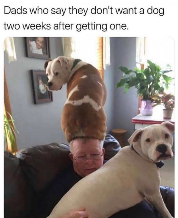 Dads who say they don't want a dog two weeks after getting one.