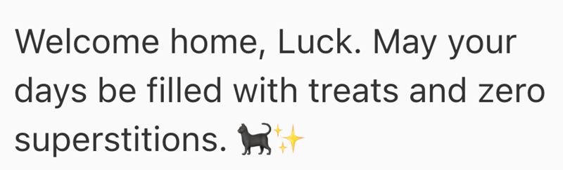 Welcome home, Luck. May your days be filled with treats and zero superstitions. ☑+