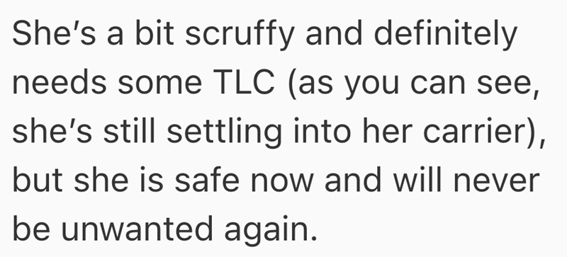 She's a bit scruffy and definitely needs some TLC (as you can see, she's still settling into her carrier), but she is safe now and will never be unwanted again.