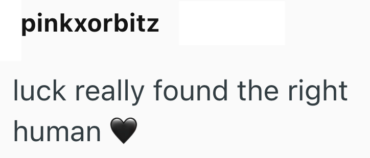 pinkxorbitz luck really found the right human