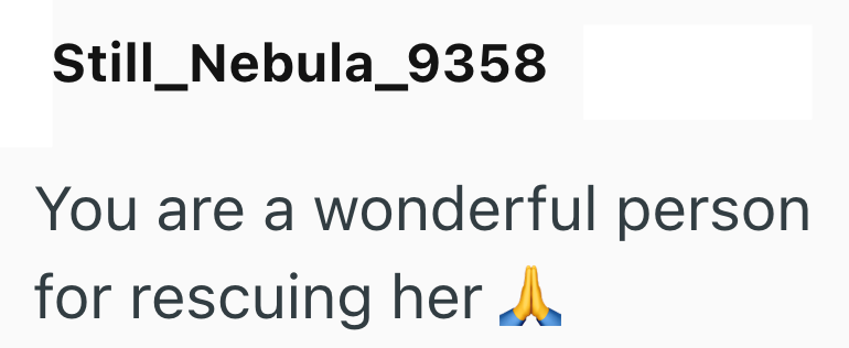 Still_Nebula_9358 You are a wonderful person for rescuing her A