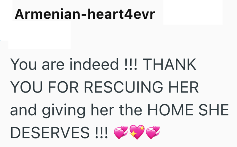 Armenian-heart4evr You are indeed!!! THANK YOU FOR RESCUING HER and giving her the HOME SHE DESERVES !!!