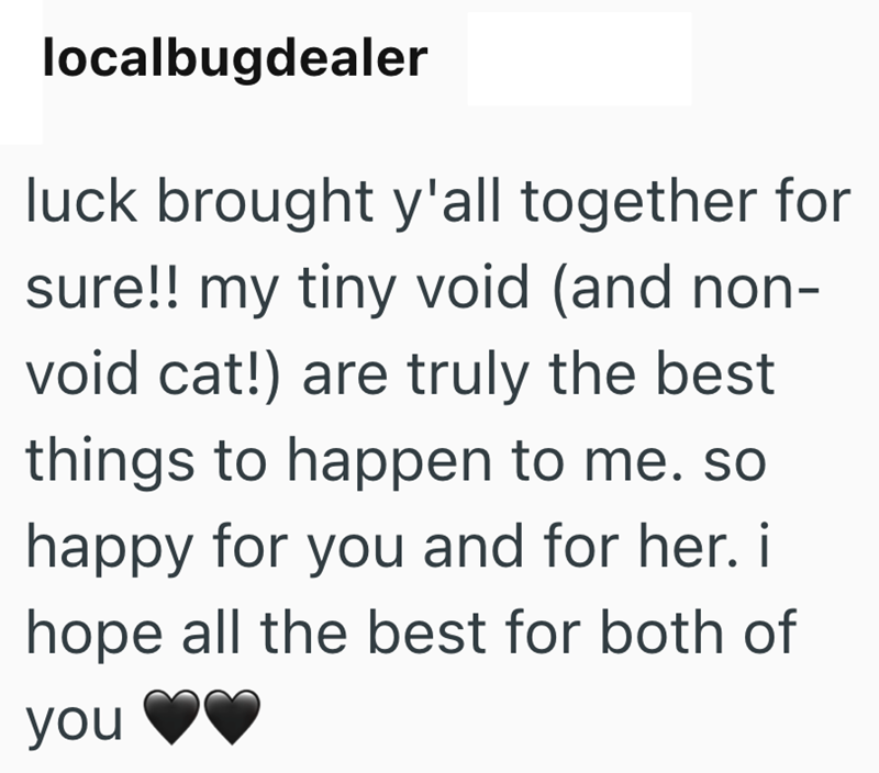 localbugdealer luck brought y'all together for sure!! my tiny void (and non- void cat!) are truly the best things to happen to me. so happy for you and for her. i hope all the best for both of you