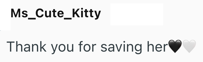 Ms_Cute_Kitty Thank you for saving her