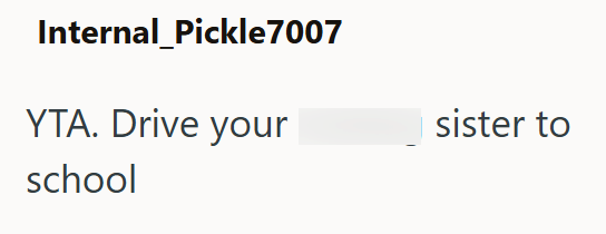 Internal Pickle7007 YTA. Drive your school sister to