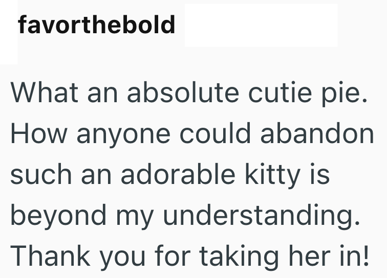 favorthebold What an absolute cutie pie. How anyone could abandon such an adorable kitty is beyond my understanding. Thank you for taking her in!