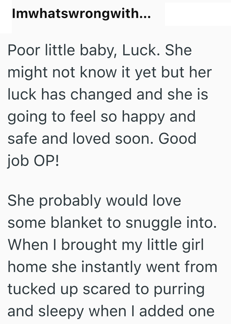 Imwhatswrongwith... Poor little baby, Luck. She might not know it yet but her luck has changed and she is going to feel so happy and safe and loved soon. Good job OP! She probably would love some blanket to snuggle into. When I brought my little girl home she instantly went from tucked up scared to purring and sleepy when I added one