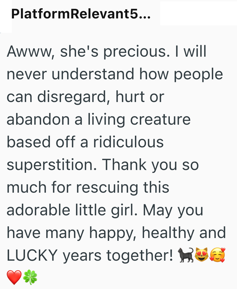 PlatformRelevant 5... Awww, she's precious. I will never understand how people can disregard, hurt or abandon a living creature based off a ridiculous superstition. Thank you so much for rescuing this adorable little girl. May you have many happy, healthy and LUCKY years together! HOG