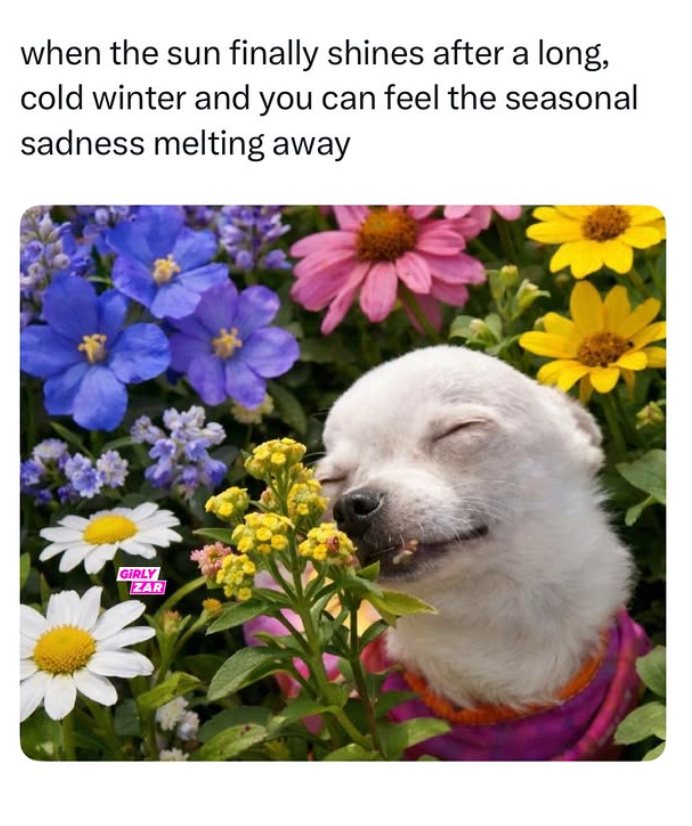 when the sun finally shines after a long, cold winter and you can feel the seasonal sadness melting away GIRLY ZAR