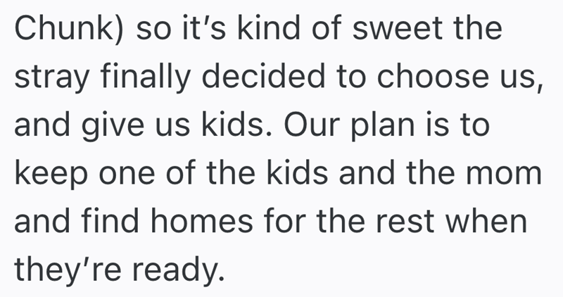 Chunk) so it's kind of sweet the stray finally decided to choose us, and give us kids. Our plan is to keep one of the kids and the mom and find homes for the rest when they're ready.