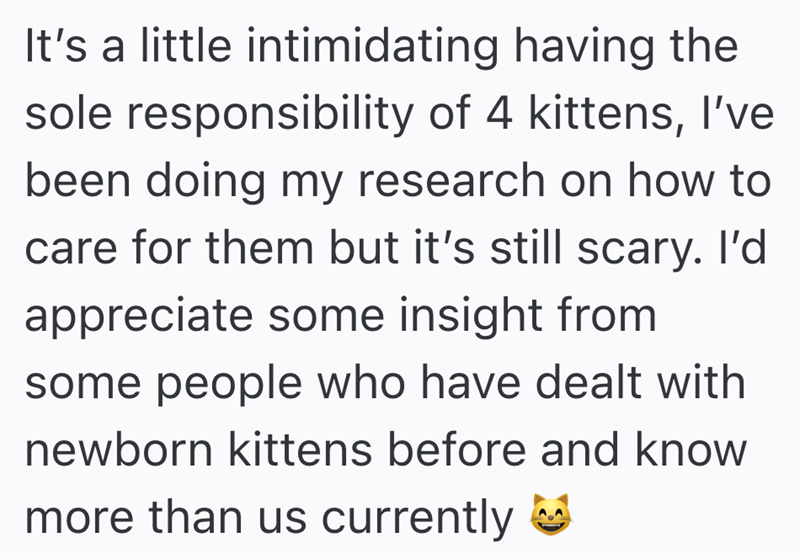 It's a little intimidating having the sole responsibility of 4 kittens, I've been doing my research on how to care for them but it's still scary. I'd appreciate some insight from some people who have dealt with newborn kittens before and know more than us currently