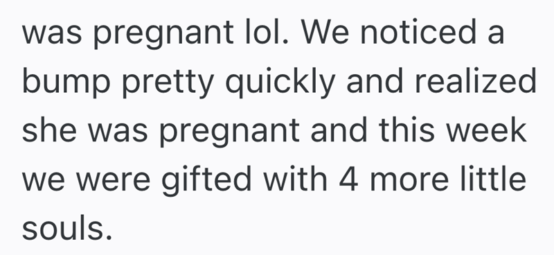 was pregnant lol. We noticed a bump pretty quickly and realized she was pregnant and this week we were gifted with 4 more little souls.