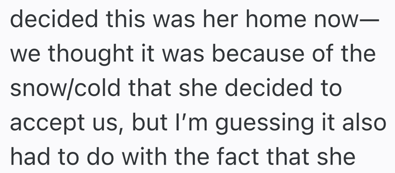 decided this was her home now- we thought it was because of the snow/cold that she decided to accept us, but I'm guessing it also had to do with the fact that she