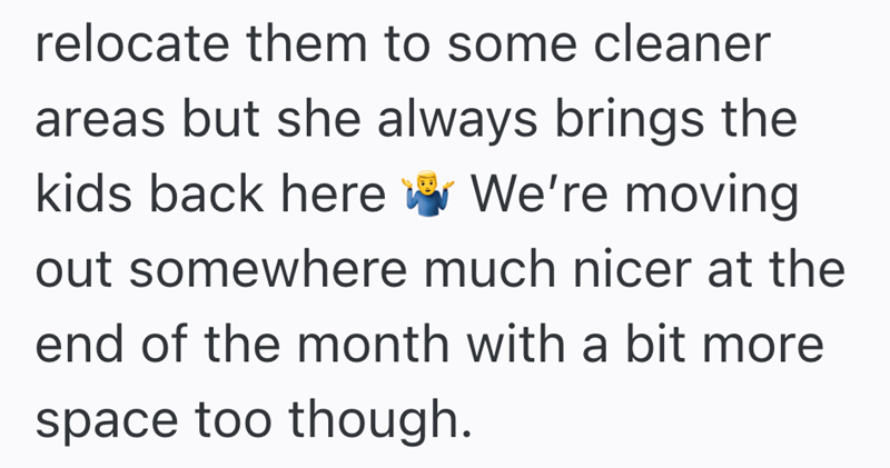 relocate them to some cleaner areas but she always brings the kids back here We're moving out somewhere much nicer at the end of the month with a bit more space too though.
