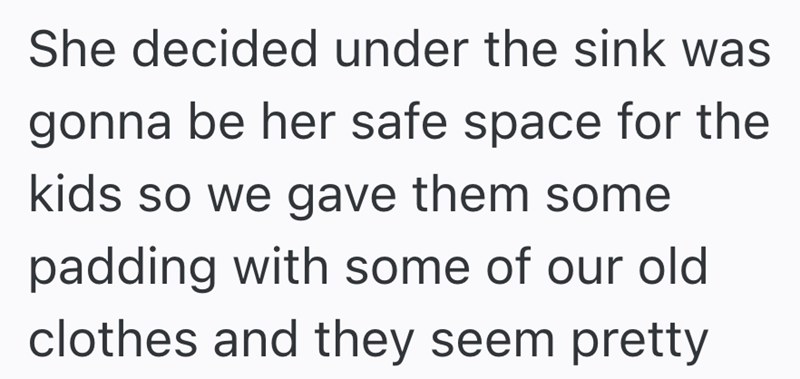 She decided under the sink was gonna be her safe space for the kids so we gave them some padding with some of our old clothes and they seem pretty