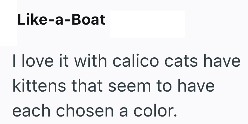 Like-a-Boat I love it with calico cats have kittens that seem to have each chosen a color.