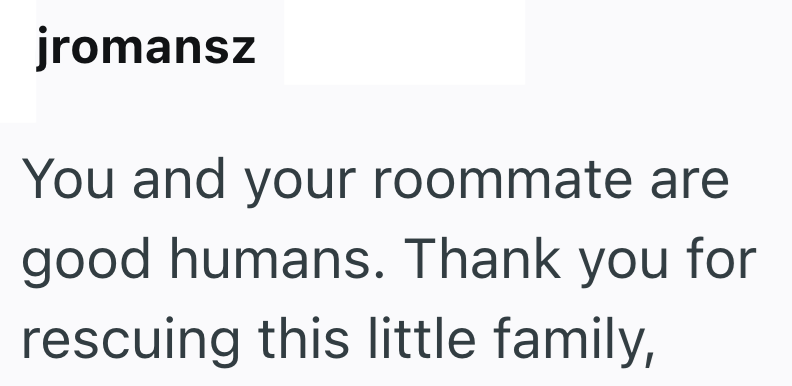 jromansz You and your roommate are good humans. Thank you for rescuing this little family,