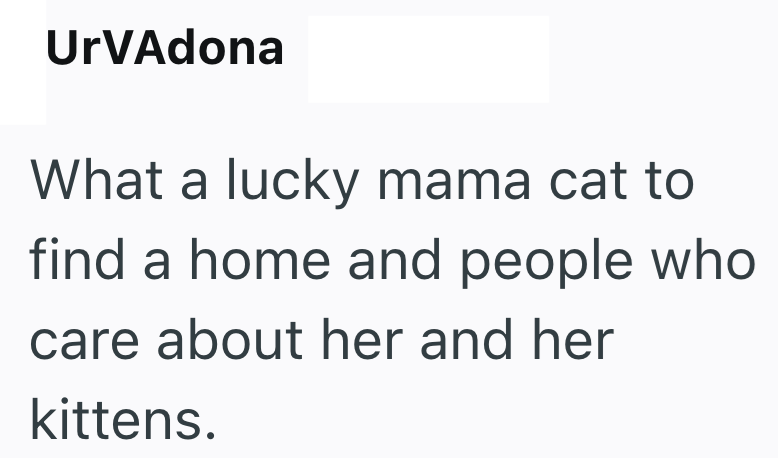 UrVAdona What a lucky mama cat to find a home and people who care about her and her kittens.