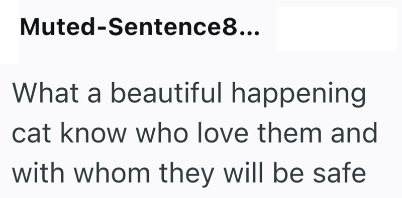 Muted-Sentence8... What a beautiful happening cat know who love them and with whom they will be safe