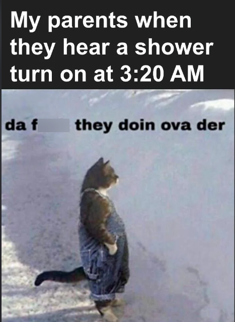 My parents when they hear a shower turn on at 3:20 AM da f they doin ova der