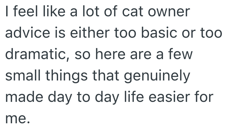 I feel like a lot of cat owner advice is either too basic or too dramatic, so here are a few small things that genuinely made day to day life easier for me.