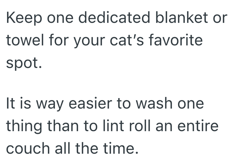Keep one dedicated blanket or towel for your cat's favorite spot. It is way easier to wash one thing than to lint roll an entire couch all the time.