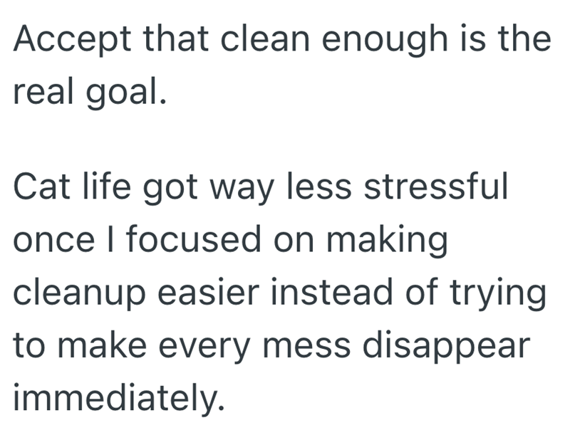 Accept that clean enough is the real goal. Cat life got way less stressful once I focused on making cleanup easier instead of trying to make every mess disappear immediately.