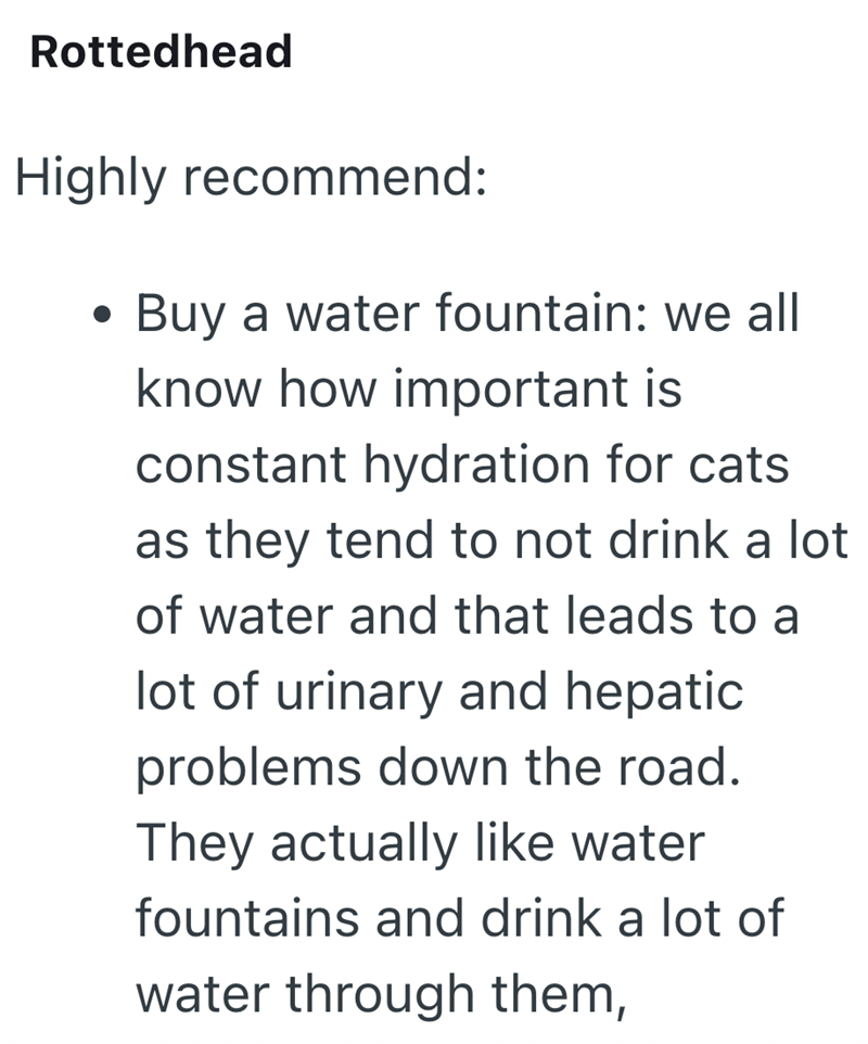 Rottedhead Highly recommend: . Buy a water fountain: we all know how important is constant hydration for cats as they tend to not drink a lot of water and that leads to a lot of urinary and hepatic problems down the road. They actually like water fountains and drink a lot of water through them,