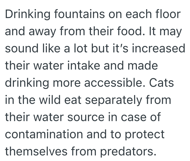 Drinking fountains on each floor and away from their food. It may sound like a lot but it's increased their water intake and made drinking more accessible. Cats in the wild eat separately from their water source in case of contamination and to protect themselves from predators.