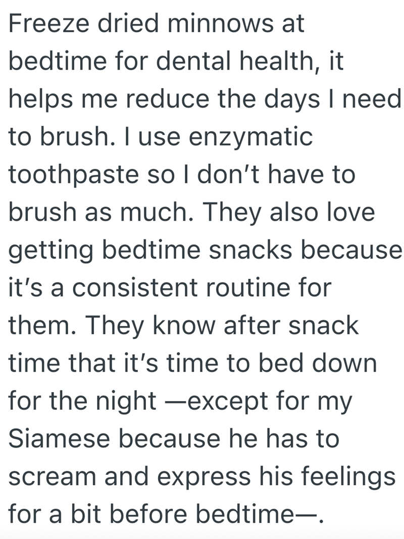 Freeze dried minnows at bedtime for dental health, it helps me reduce the days I need to brush. I use enzymatic toothpaste so I don't have to brush as much. They also love getting bedtime snacks because it's a consistent routine for them. They know after snack time that it's time to bed down for the night -except for my Siamese because he has to scream and express his feelings for a bit before bedtime-.