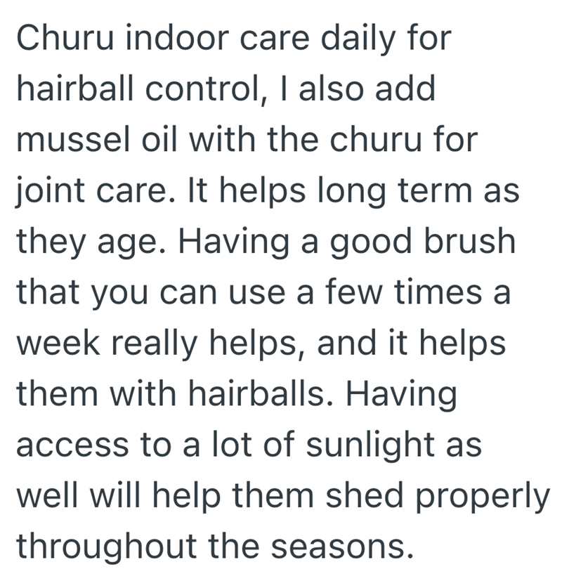 Churu indoor care daily for hairball control, I also add mussel oil with the churu for joint care. It helps long term as they age. Having a good brush that you can use a few times a week really helps, and it helps them with hairballs. Having access to a lot of sunlight as well will help them shed properly throughout the seasons.